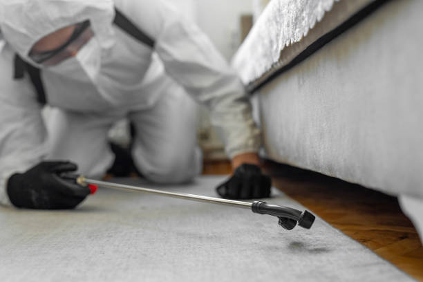 Professional Bed Bug Control technician working in Alliance, OH